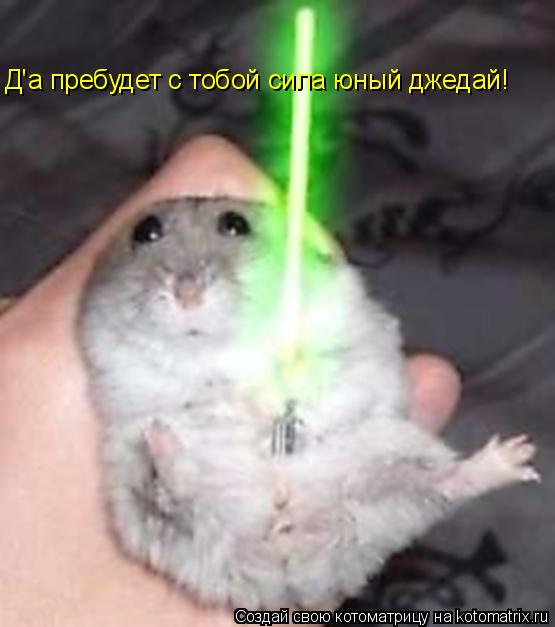 Котоматрица: Д'а пребудет с тобой сила юный джедай!