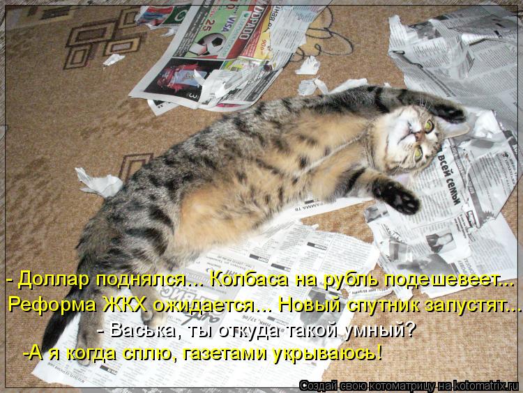 - Доллар поднялся... Колбаса на рубль подешевеет... Реформа ЖКХ ожидается... Новый спутник запустят..... Котоматрица: - Доллар поднялся... Колбаса на рубль подешевеет... Реформа ЖКХ ожидается... Новый спутник запустят... - Васька, ты откуда такой умный? -А я когда