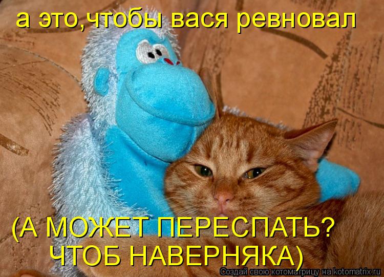 Котоматрица: а это,чтобы вася ревновал (А МОЖЕТ ПЕРЕСПАТЬ? ЧТОБ НАВЕРНЯКА)