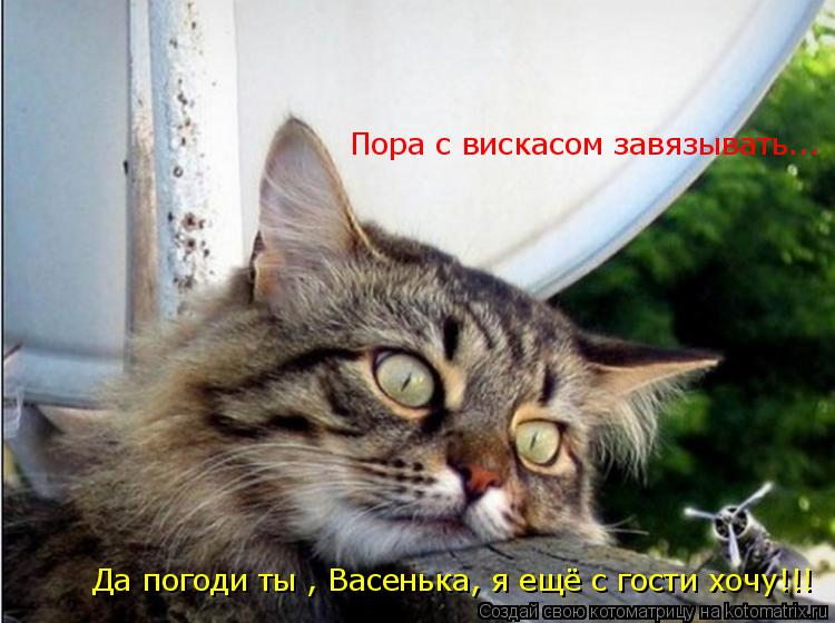 Котоматрица: Пора с вискасом завязывать... Да погоди ты , Васенька, я ещё с гости хочу!!!