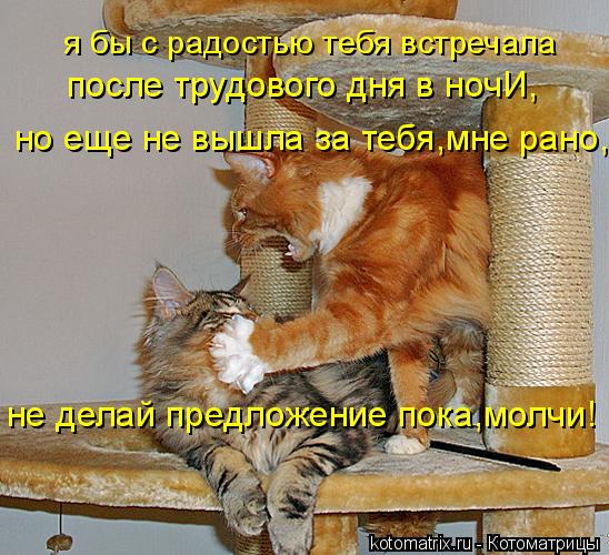 я бы с радостью тебя встречала после трудового дня в ночИ, но еще не вышла за тебя,мне рано, не делай... Котоматрица: я бы с радостью тебя встречала после трудового дня в ночИ, но еще не вышла за тебя,мне рано, не делай предложение пока,молчи!