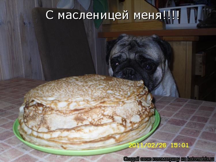 Котоматрица: С масленицей меня!!!!