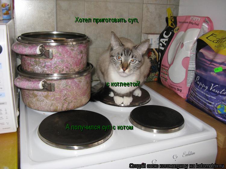 Котоматрица: Хотел приготовить суп, с котлеетой! А получился суп с котом