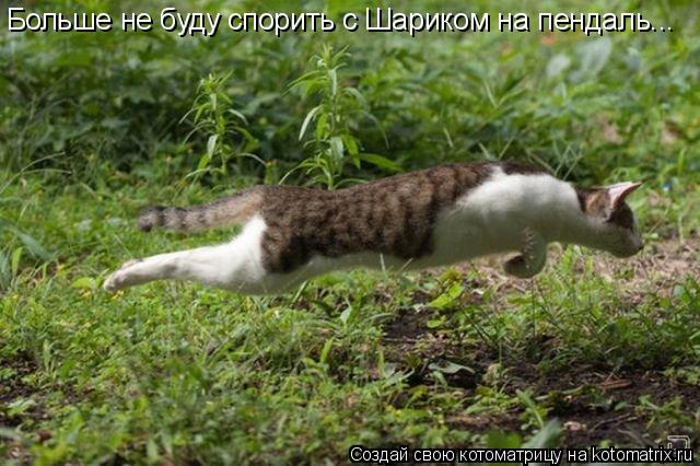 Котоматрица: Больше не буду спорить с Шариком на пендаль...