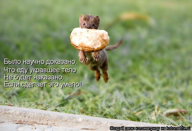 Было научно доказано, Что еду укравшее тело Не будет наказано, Если сделает это умело!... Котоматрица: Было научно доказано, Что еду укравшее тело Не будет наказано, Если сделает это умело!
