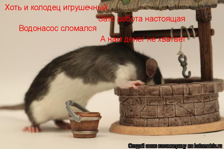 Котоматрица: Хоть и колодец игрушечный Зато работа настоящая  Водонасос сломался А нам денег не хватает