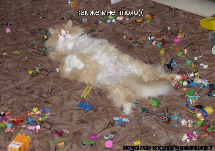 Котоматрица: как же мне плохо((  как же мне плохо((