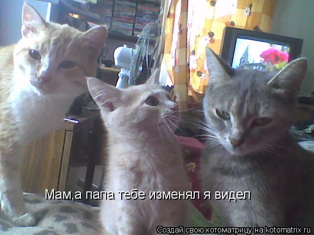 Котоматрица: Мам,а папа тебе изменял я видел