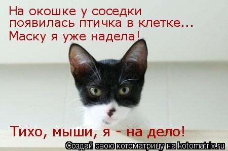 На окошке у соседки появилась птичка в клетке….. Маску я уже надела! Тихо, мыши, я - на дело!... Котоматрица: На окошке у соседки появилась птичка в клетке….. Маску я уже надела! Тихо, мыши, я - на дело!