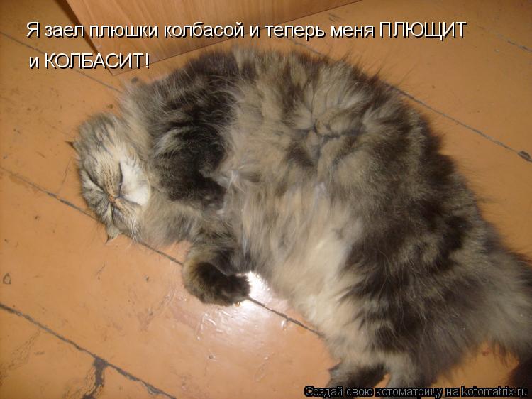 Котоматрица: Я заел плюшки колбасой и теперь меня ПЛЮЩИТ  и КОЛБАСИТ!