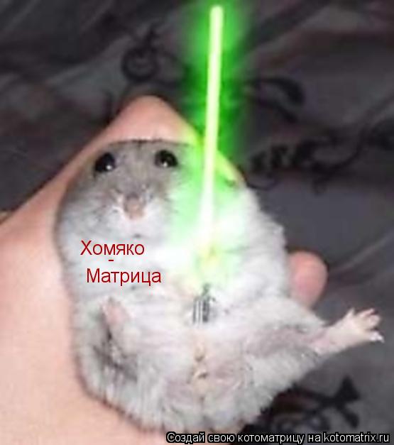 Котоматрица: Матрица Хомяко -