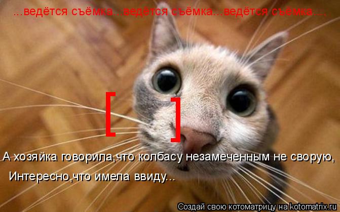 Котоматрица: ...ведётся съёмка...ведётся съёмка...ведётся съёмка.... [ ] А хозяйка говорила,что колбасу незамеченным не сворую, Интересно,что имела ввиду...