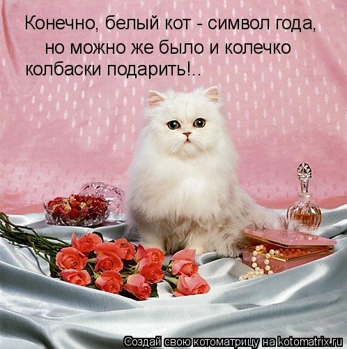 Котоматрица: Конечно, белый кот - символ года, но можно же было и колечко  колбаски подарить!..