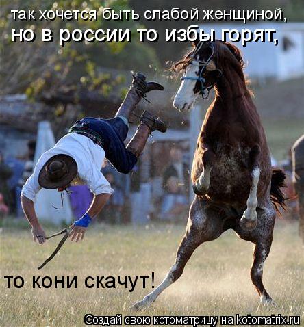 Котоматрица: так хочется быть слабой женщиной,  но в россии то избы горят,  но в россии то избы горят,  то кони скачут!
