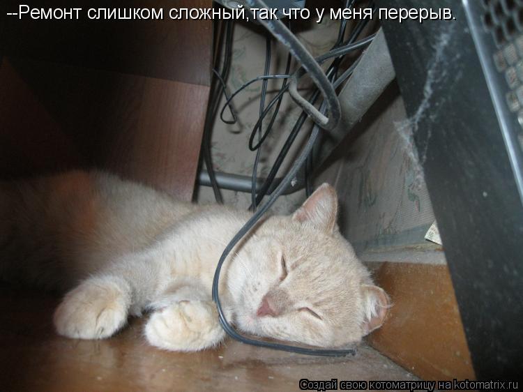 Котоматрица: --Ремонт слишком сложный,так что у меня перерыв.