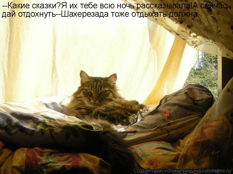 Котоматрица: --Какие сказки?Я их тебе всю ночь рассказывала!А сейчас дай отдохнуть--Шахерезада тоже отдыхать должна.