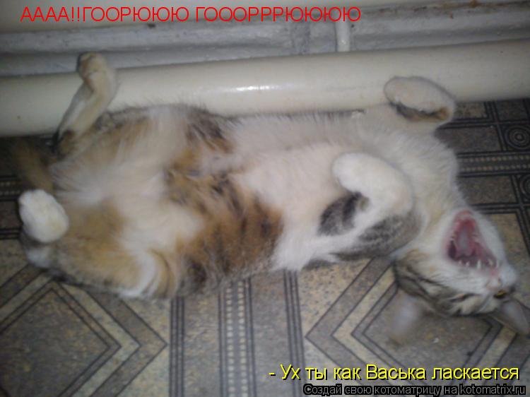 Котоматрица: - Ух ты как Васька ласкается АААА!!ГООРЮЮЮ ГОООРРРЮЮЮЮ