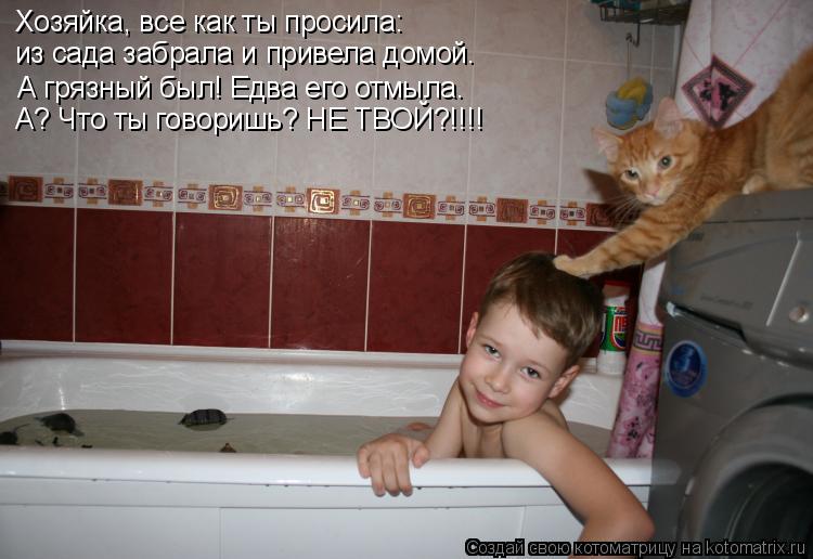Хозяйка, все как ты просила: из сада забрала и привела домой. А грязный был! Едва его отмыла. А? Что ... Котоматрица: Хозяйка, все как ты просила: из сада забрала и привела домой. А грязный был! Едва его отмыла. А? Что ты говоришь? НЕ ТВОЙ?!!!!