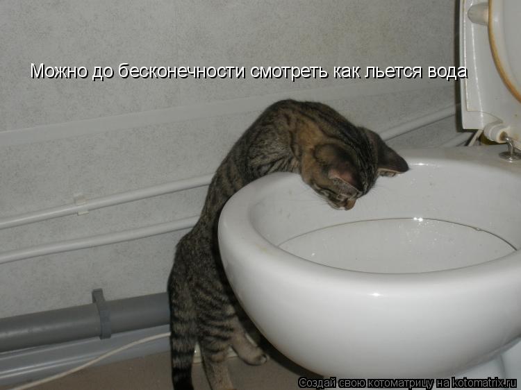 Котоматрица: Можно до бесконечности смотреть как льется вода