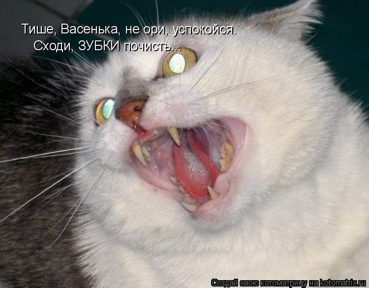 Котоматрица: Тише, Васенька, не ори, успокойся. Сходи, ЗУБКИ почисть...