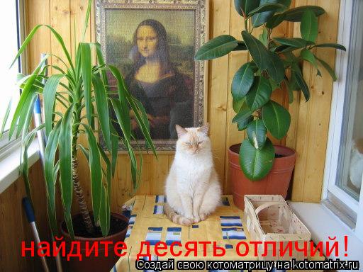 Котоматрица: найдите десять отличий!
