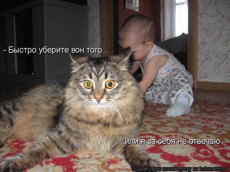 Котоматрица: - Быстро уберите вон того... ...или я за себя не отвечаю