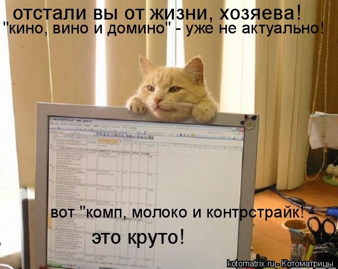 Котоматрица: отстали вы от жизни, хозяева!  "кино, вино и домино" - уже не актуально! вот "комп, молоко и контрстрайк! -  это круто!