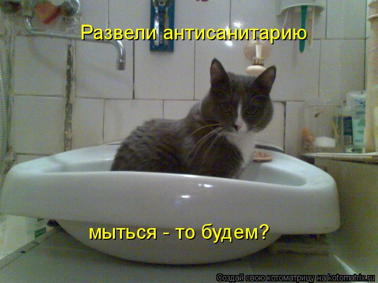 Котоматрица: Развели антисанитарию мыться - то будем?