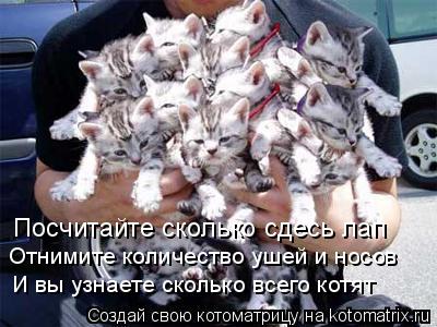 Котоматрица: Посчитайте сколько сдесь лап Отнимите количество ушей и носов И вы узнаете сколько всего котят