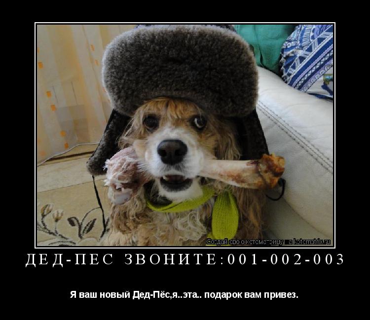 Котоматрица: Дед-Пёс Звоните:001-002-003 Я ваш новый Дед-Пёс,я..эта.. подарок вам привез.