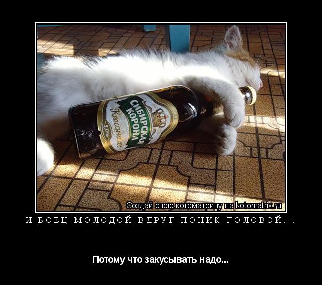 Котоматрица: И боец молодой вдруг поник головой... Потому что закусывать надо...
