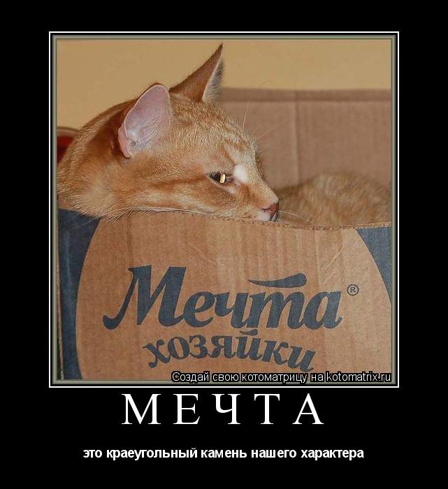 Котоматрица: мечта это краеугольный камень нашего характера