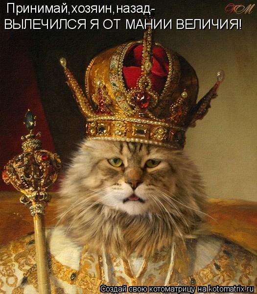 Котоматрица: Принимай,хозяин,назад- ВЫЛЕЧИЛСЯ Я ОТ МАНИИ ВЕЛИЧИЯ!