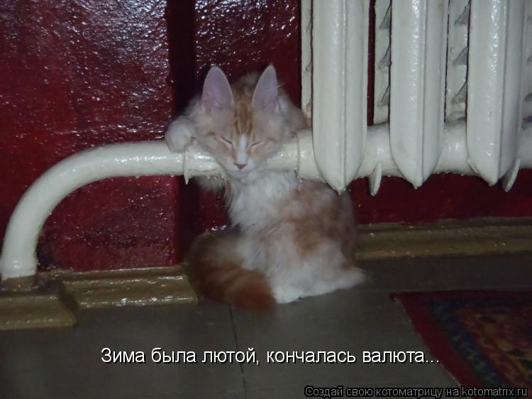 Котоматрица: Зима была лютой, кончалась валюта...