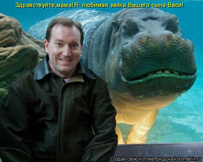 Котоматрица: Здравствуйте,мама!Я- любимая зайка Вашего сына Васи!
