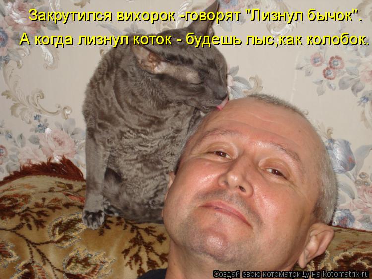 Закрутился вихорок -говорят "Лизнул бычок". А когда лизнул коток - будешь лыс,как колобок.... Котоматрица: Закрутился вихорок -говорят "Лизнул бычок". А когда лизнул коток - будешь лыс,как колобок.