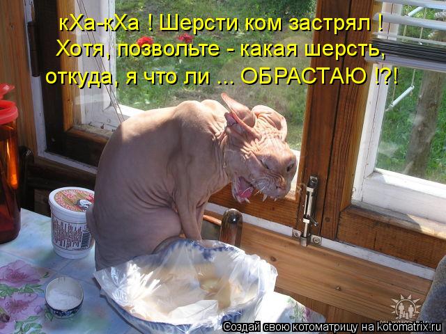 кХа-кХа ! Шерсти ком застрял ! Хотя, позвольте - какая шерсть, откуда, я что ли ... ОБРАСТАЮ !?!... Котоматрица: кХа-кХа ! Шерсти ком застрял ! Хотя, позвольте - какая шерсть, откуда, я что ли ... ОБРАСТАЮ !?!