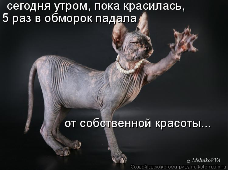 сегодня утром, пока красилась, 5 раз в обморок падала от собственной красоты...... Котоматрица: сегодня утром, пока красилась, 5 раз в обморок падала от собственной красоты...
