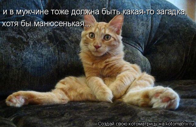Котоматрица: и в мужчине тоже должна быть какая-то загадка, хотя бы манюсенькая...