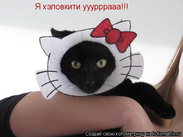 Я хэловкити ууурррааа!!!... Котоматрица: Я хэловкити ууурррааа!!!