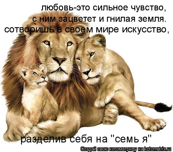 Котоматрица: любовь-это сильное чувство, с ним зацветет и гнилая земля. сотворишь в своем мире искусство, разделив себя на "семь я"