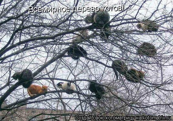 Всемирное дерево котов!... Котоматрица: Всемирное дерево котов!