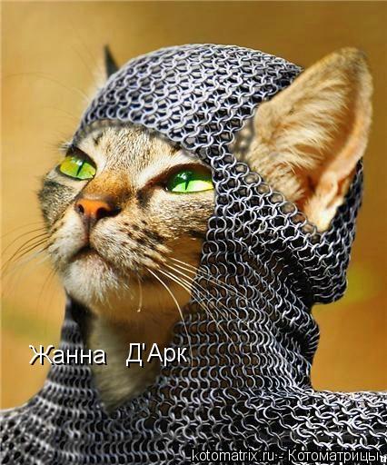 Жанна Д'Арк... Котоматрица: Жанна Д'Арк