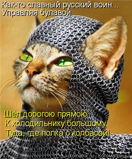 Управляя булавой Как-то славный русский воин... Шёл дорогою прямою К холодильнику большому, Туда, где... Котоматрица: Управляя булавой Как-то славный русский воин... Шёл дорогою прямою К холодильнику большому, Туда, где полка с колбасой!
