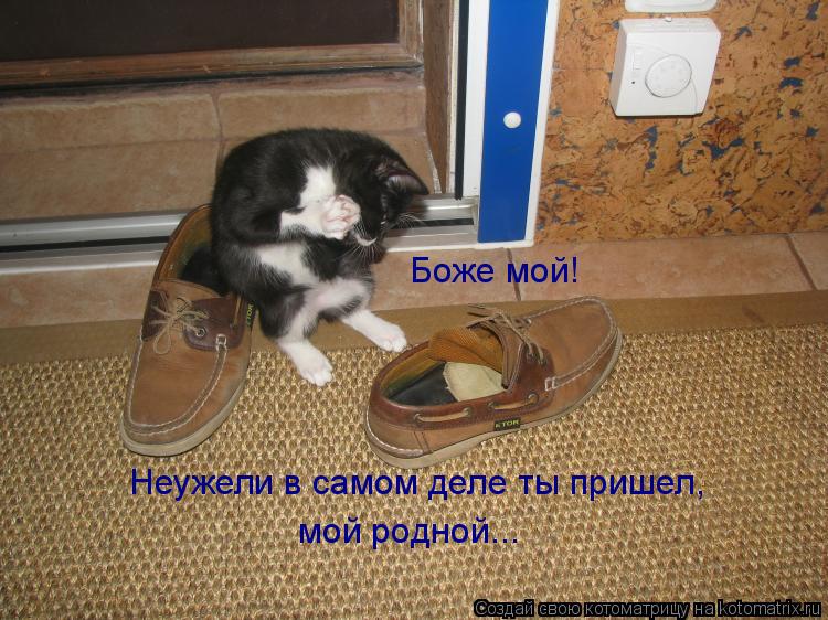 Боже мой! Неужели в самом деле ты пришел, мой родной...... Котоматрица: Боже мой! Неужели в самом деле ты пришел, мой родной...