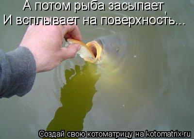 А потом рыба засыпает , И всплывает на поверхность...... Котоматрица: А потом рыба засыпает , И всплывает на поверхность...