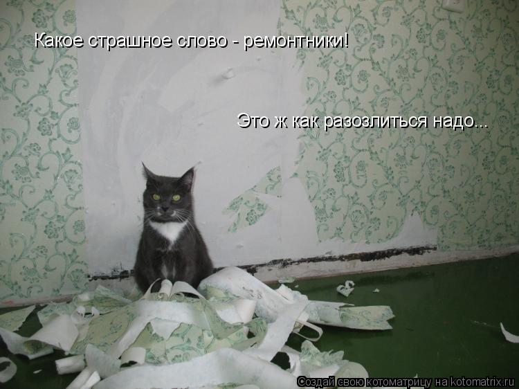 Какое страшное слово - ремонтники! Это ж как разозлиться надо...... Котоматрица: Какое страшное слово - ремонтники! Это ж как разозлиться надо...