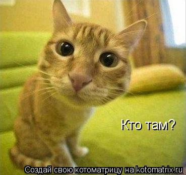 Кто там?... Котоматрица: Кто там?