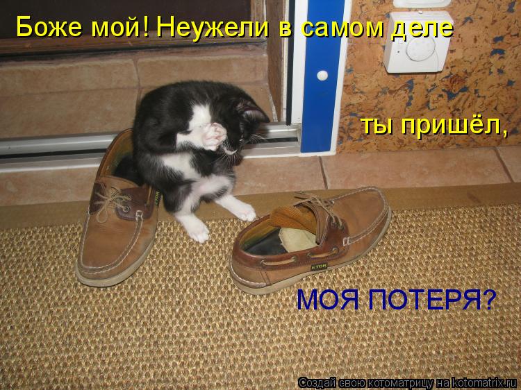 Боже мой! Неужели в самом деле ты пришёл, МОЯ ПОТЕРЯ?... Котоматрица: Боже мой! Неужели в самом деле ты пришёл, МОЯ ПОТЕРЯ?