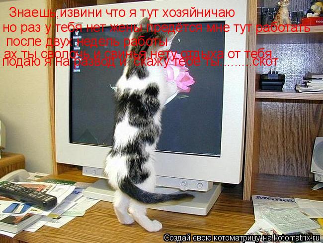Знаешь,извини что я тут хозяйничаю но раз у тебя нет жены предётся мне тут работать после двух недель... Котоматрица: Знаешь,извини что я тут хозяйничаю но раз у тебя нет жены предётся мне тут работать после двух недель работы ах ты сволочь и свинья,нету отд